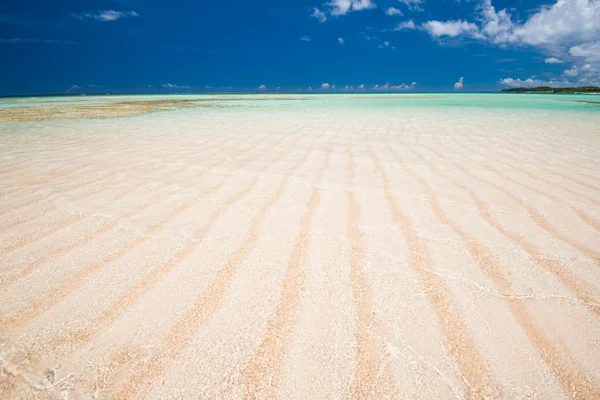 投稿：百合が浜（再掲）