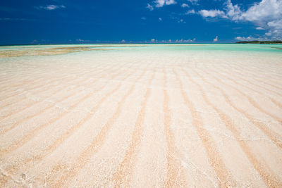 投稿：百合が浜（再掲）