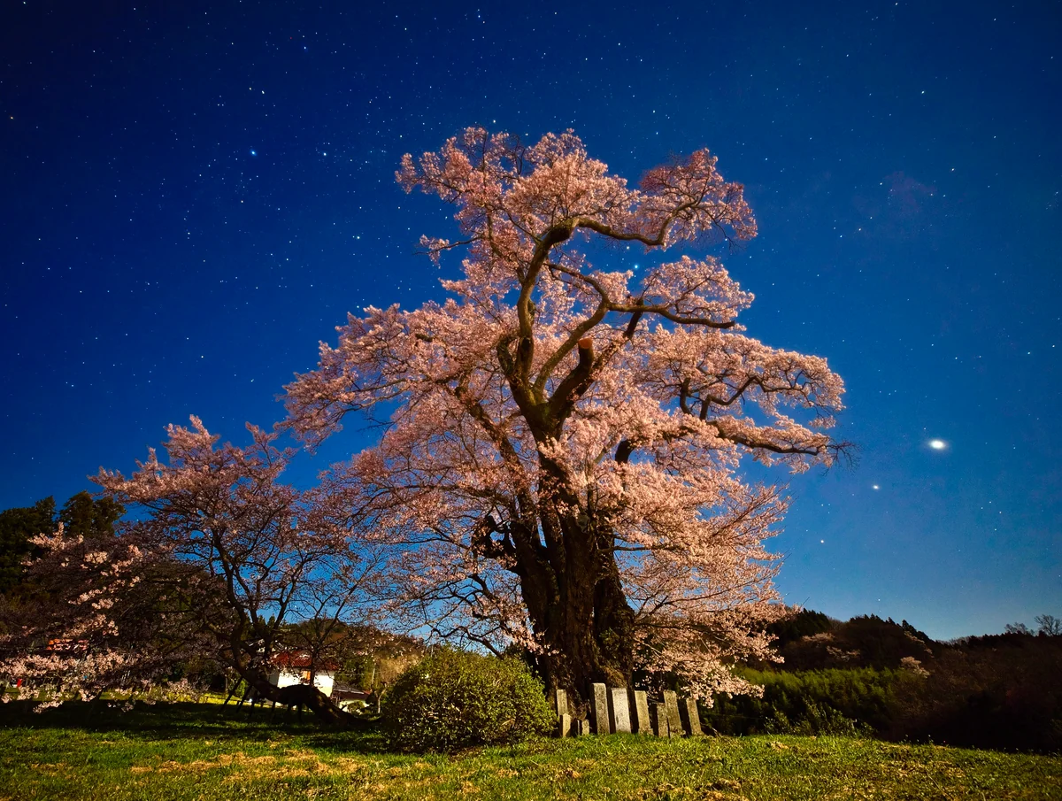 投稿写真：星空のもとで