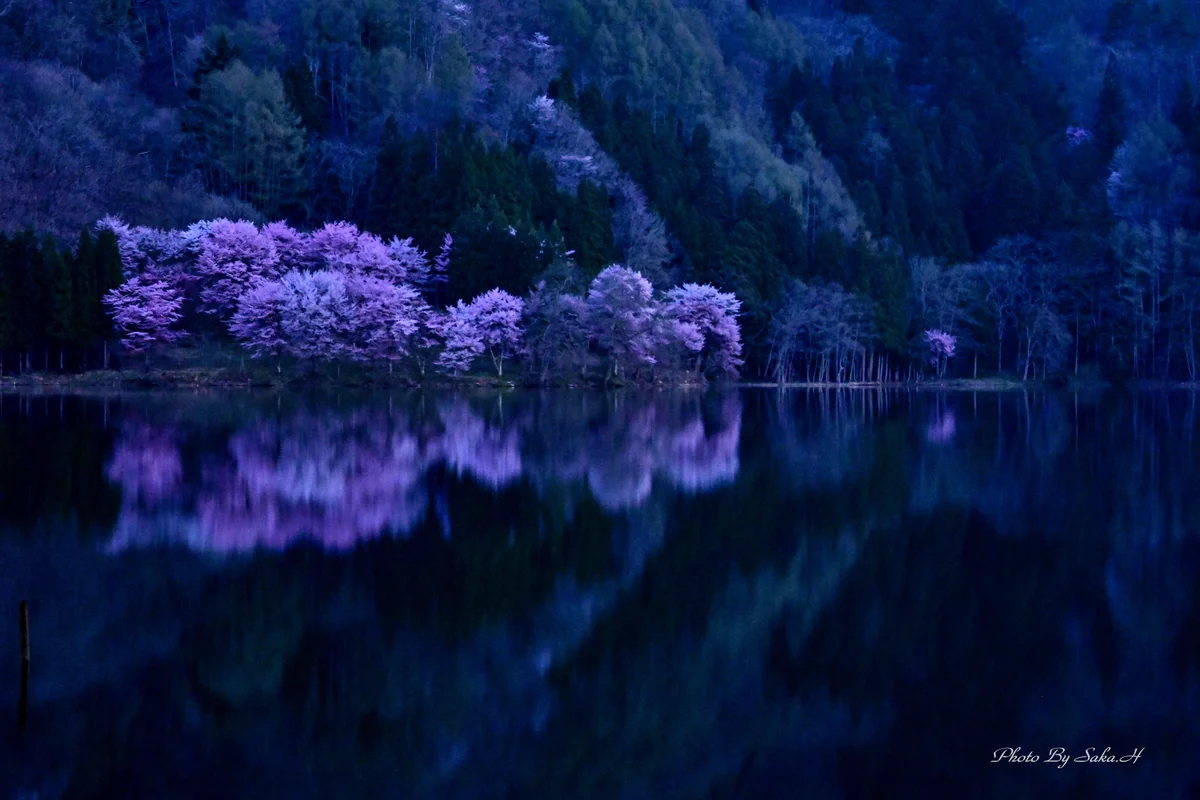 投稿写真：静寂