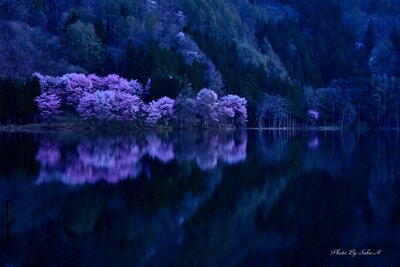  | 絶景事典