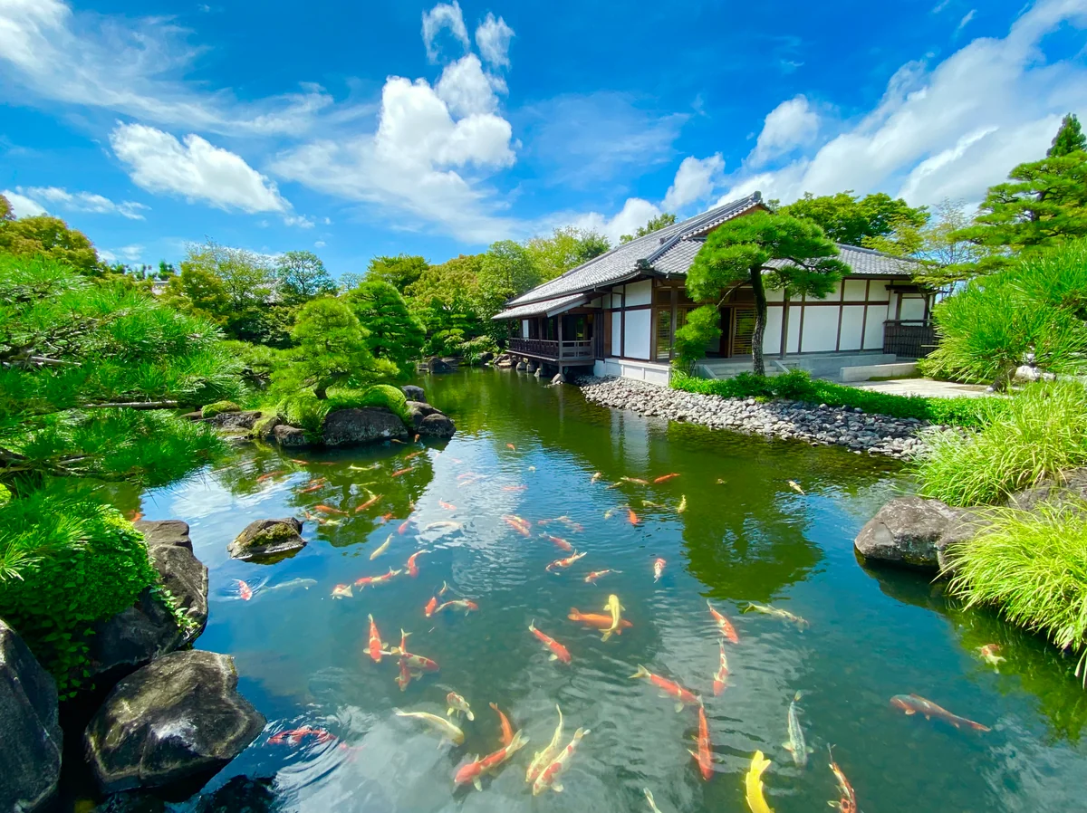 投稿写真：今、海外から最も注目されている日本庭園 好古園