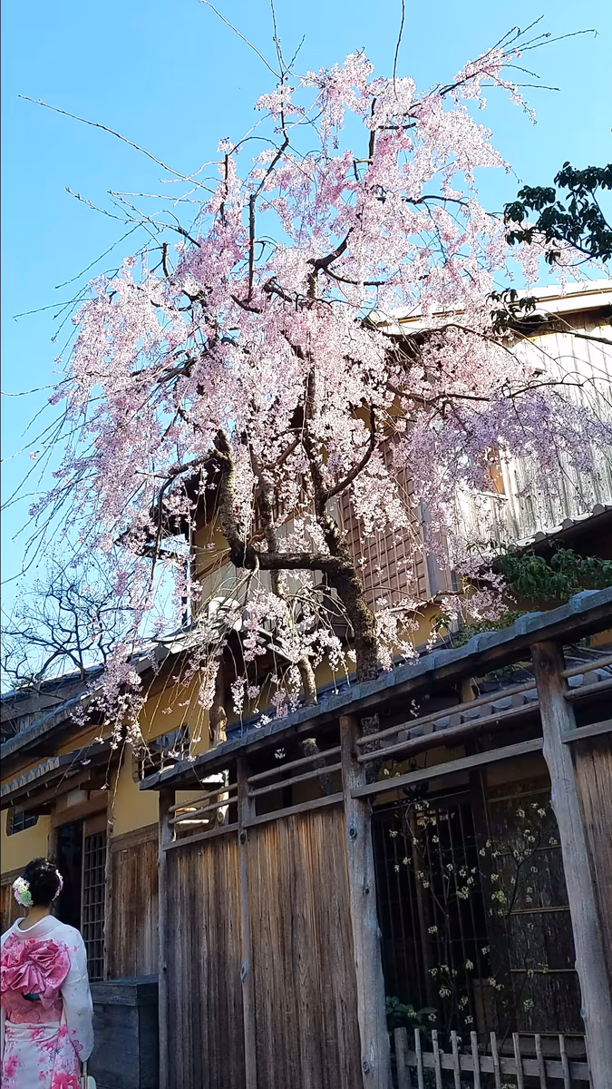 投稿写真：清水坂にて