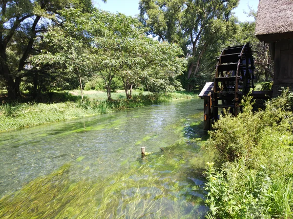 投稿：大王わさび農場