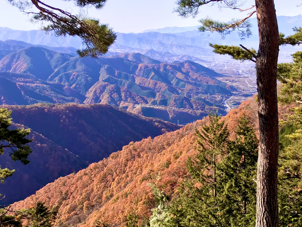 投稿写真：甲府高尾山の稜線からの風景