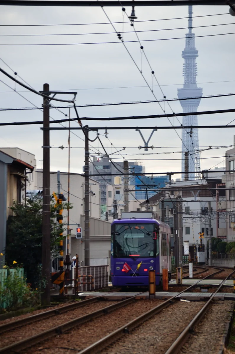 投稿写真：都電とスカイツリー