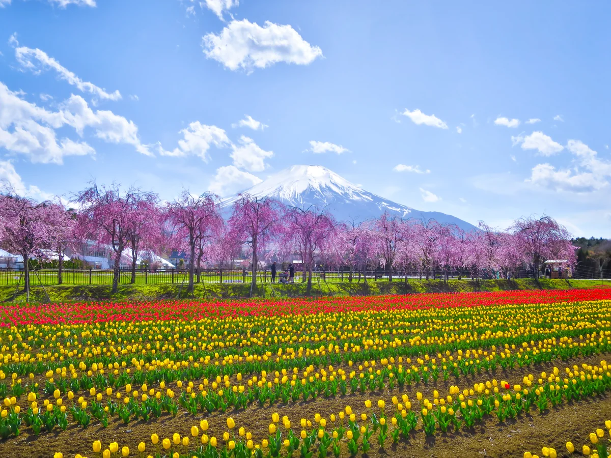 伊藤 和平さんの投稿写真