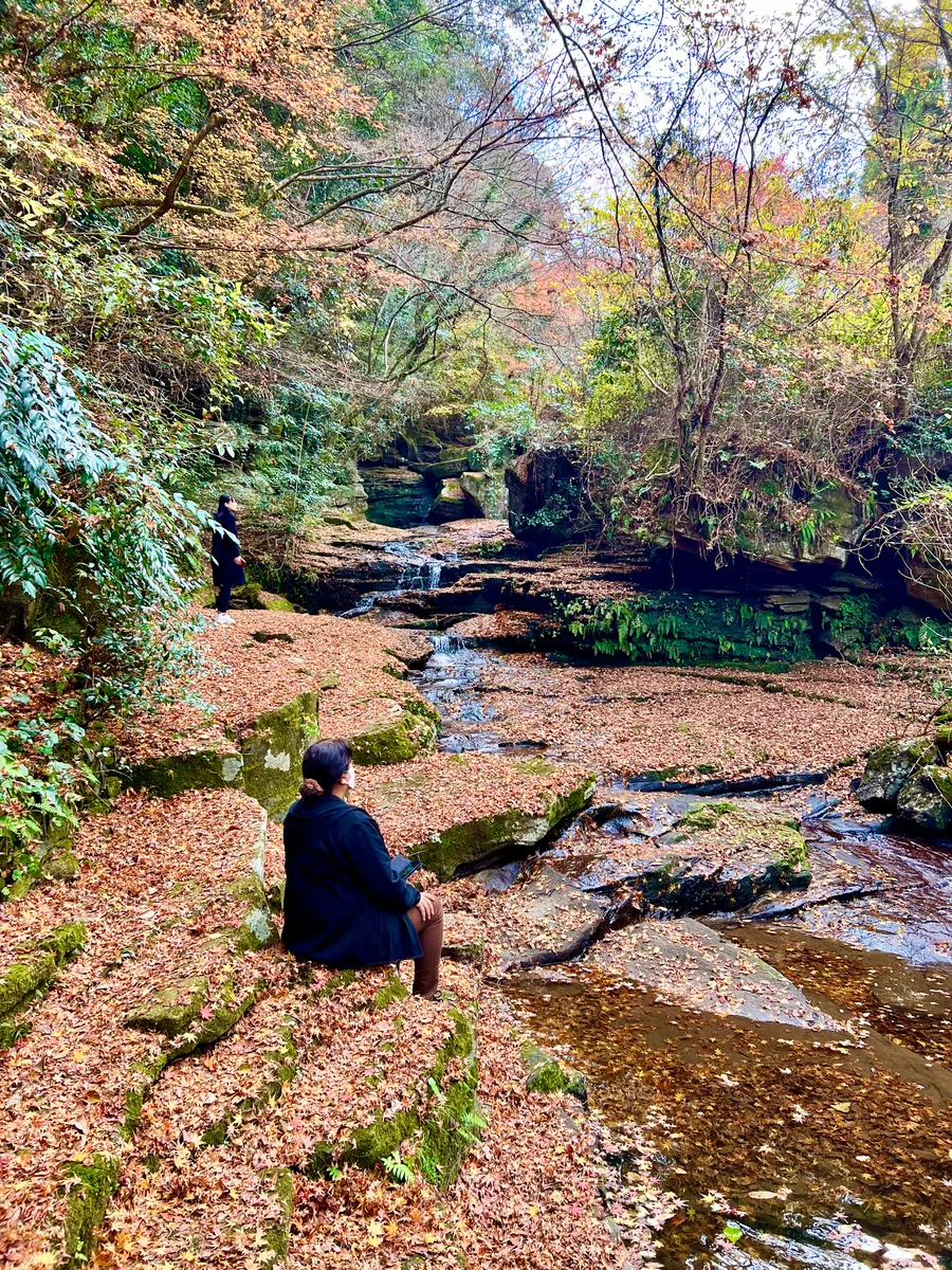 投稿写真：山中渓谷