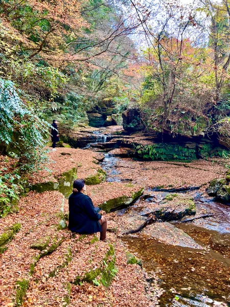 投稿：山中渓谷