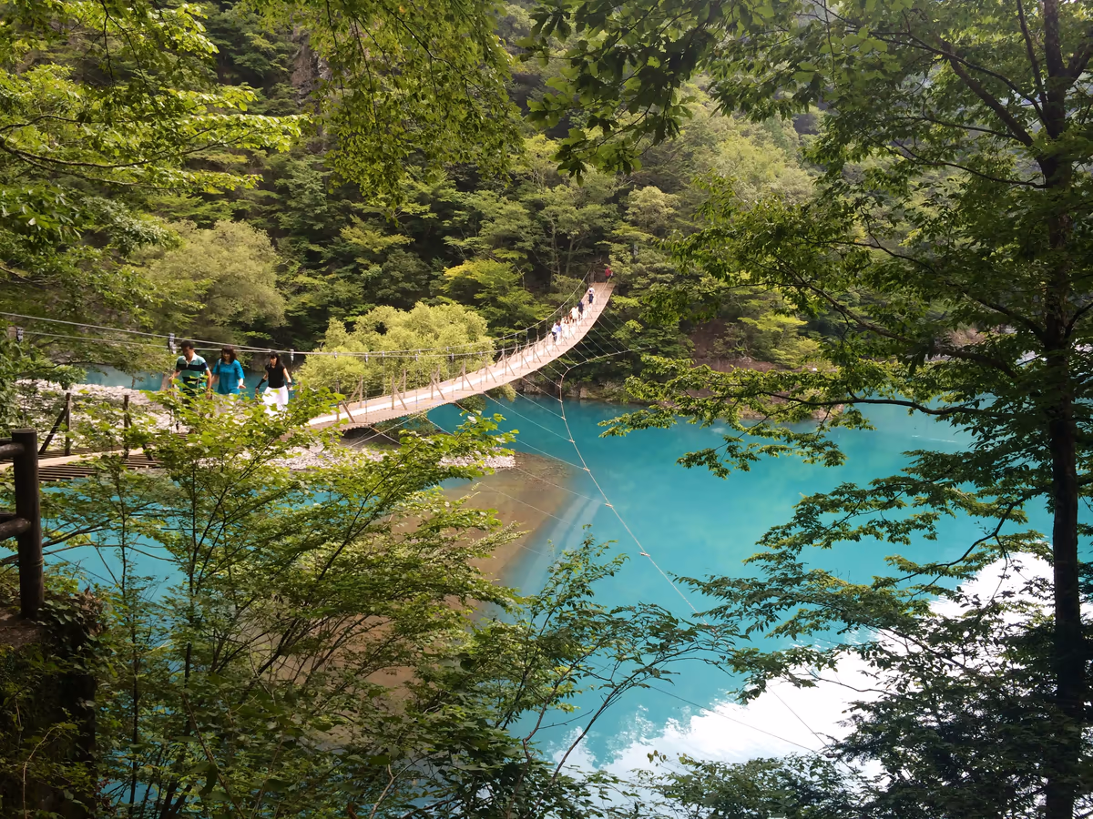 投稿写真：夢の吊り橋