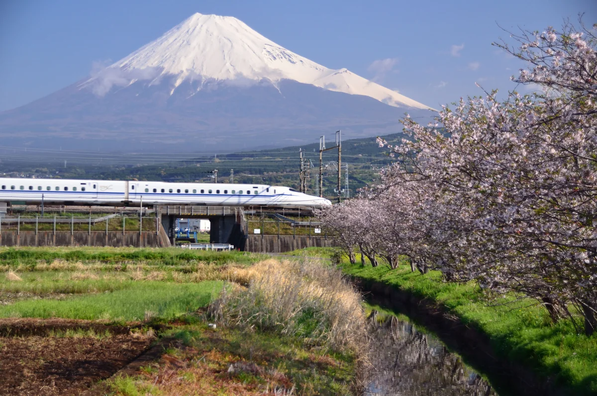 投稿写真：富士山　残り桜　新幹線