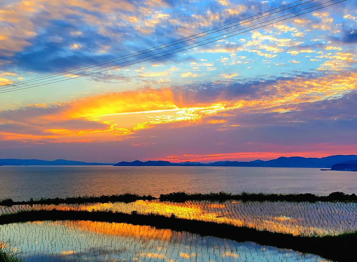 投稿写真：江の串の棚田