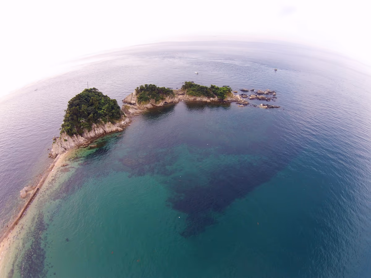 投稿写真：五十谷三島（いやみしま）
