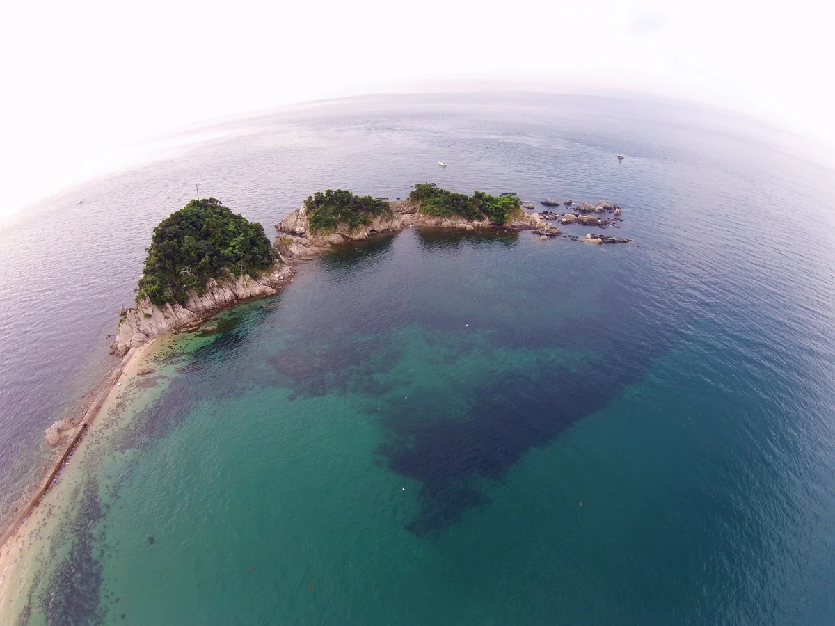 投稿写真：五十谷三島（いやみしま）