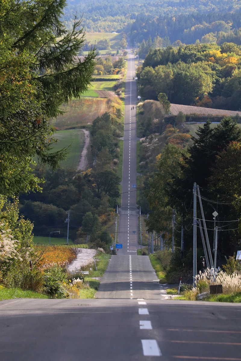 投稿写真：ジェットコースターの路