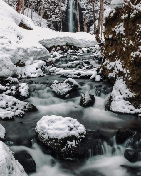 投稿：奥入瀬渓流