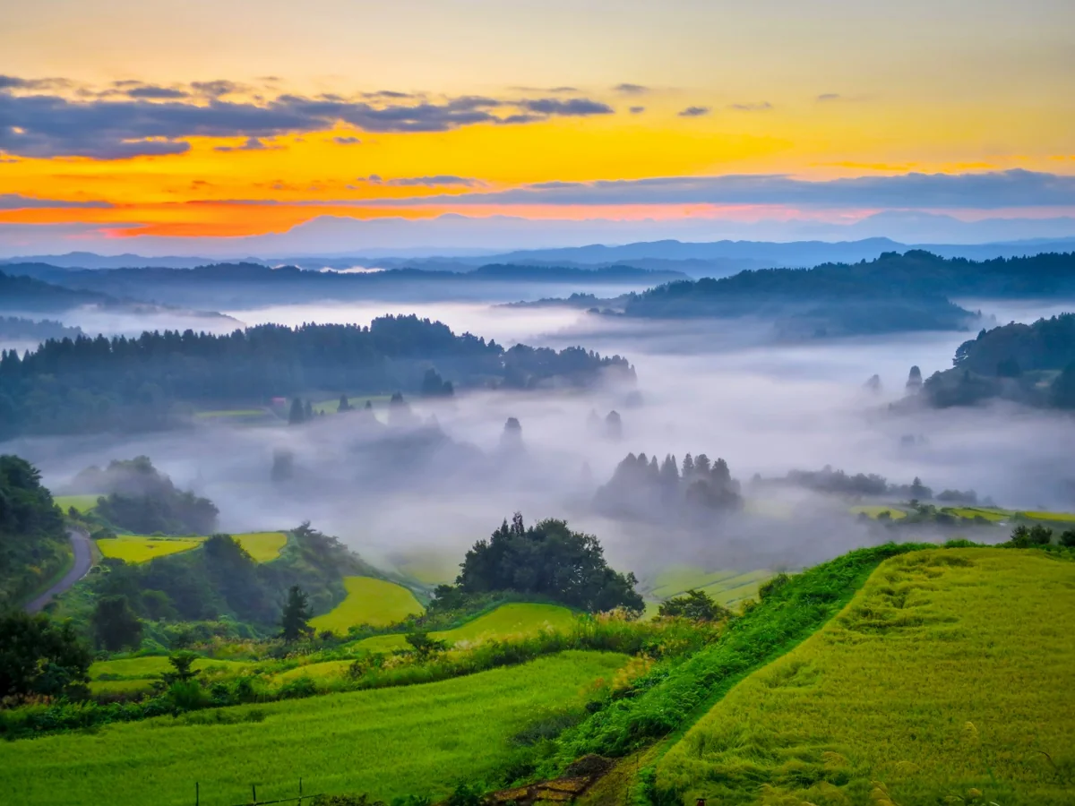 投稿写真：朝焼けと星峠の棚田