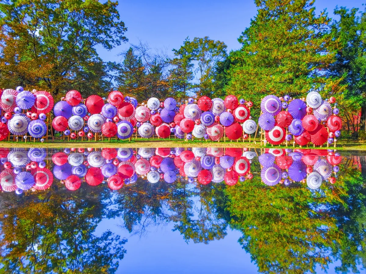 投稿写真：和傘と青空のリフレクション