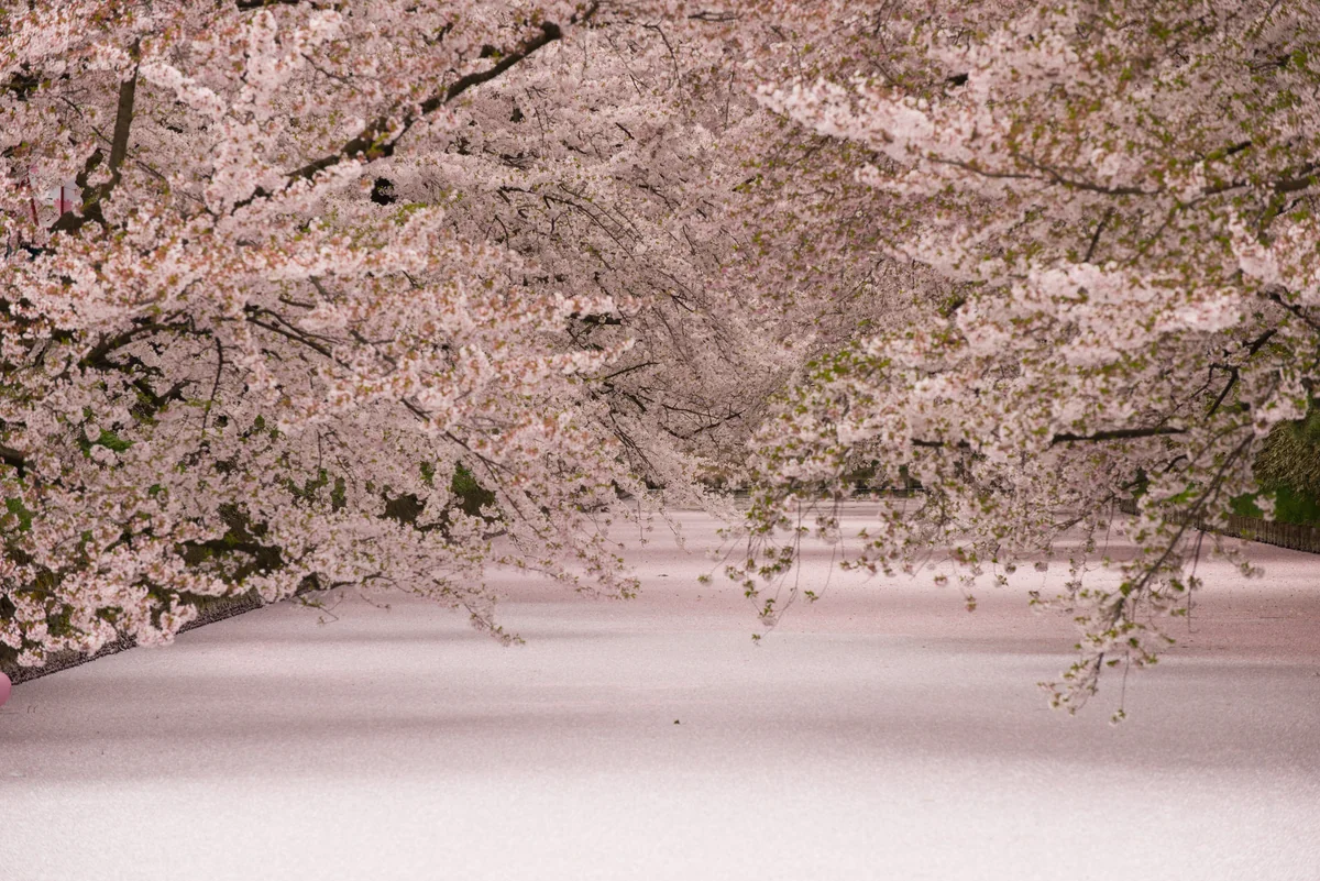 Hidenori Yamamotoさんの投稿写真