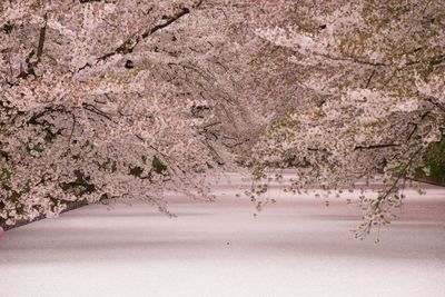  | 絶景事典