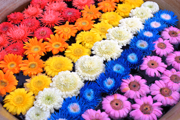 投稿：鮮やかなレインボーカラーの花手水
