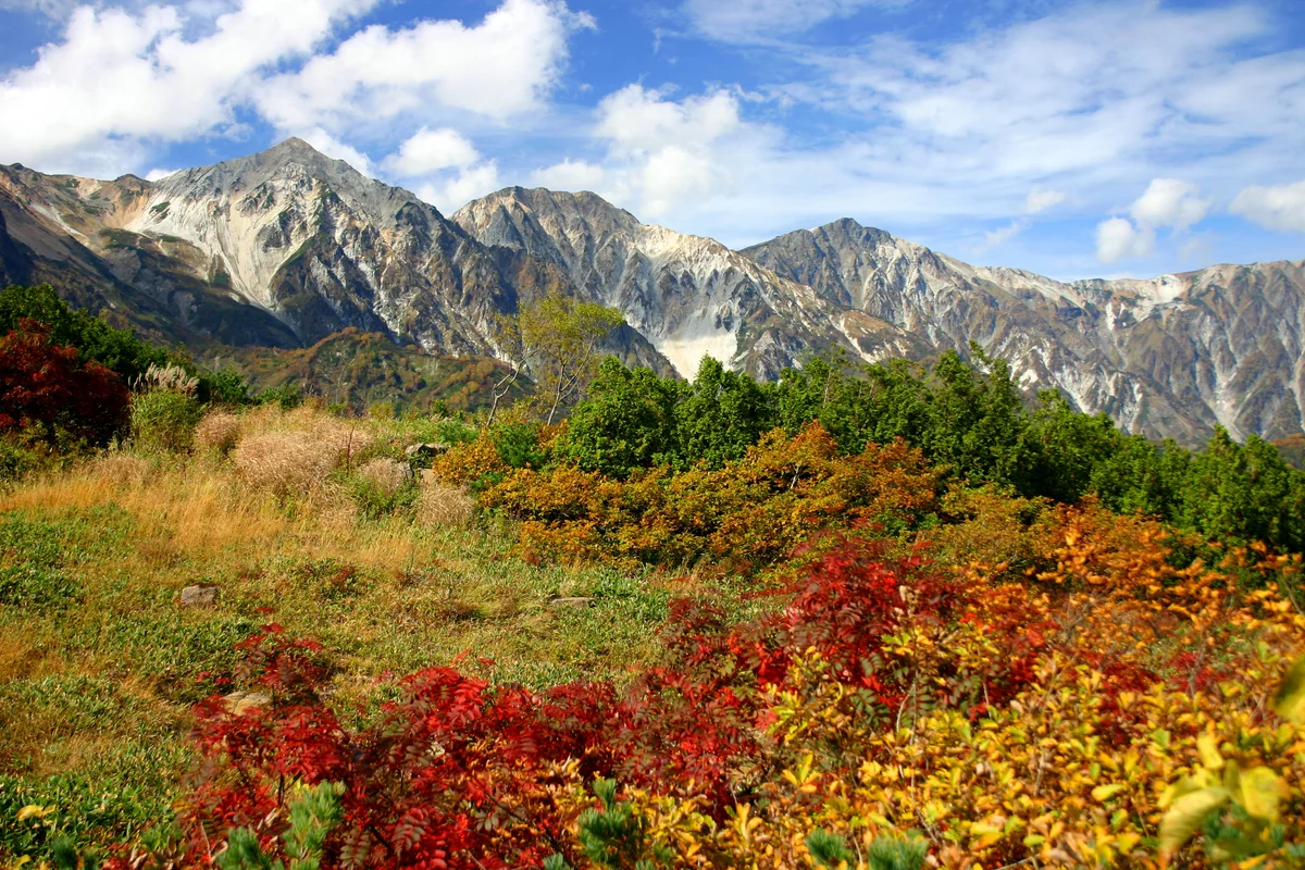投稿写真：白馬三山