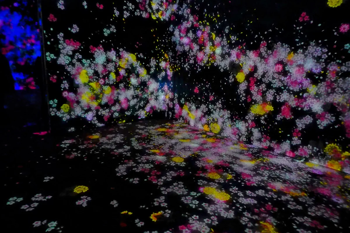 投稿写真：TEAM LABO BORDERLESS