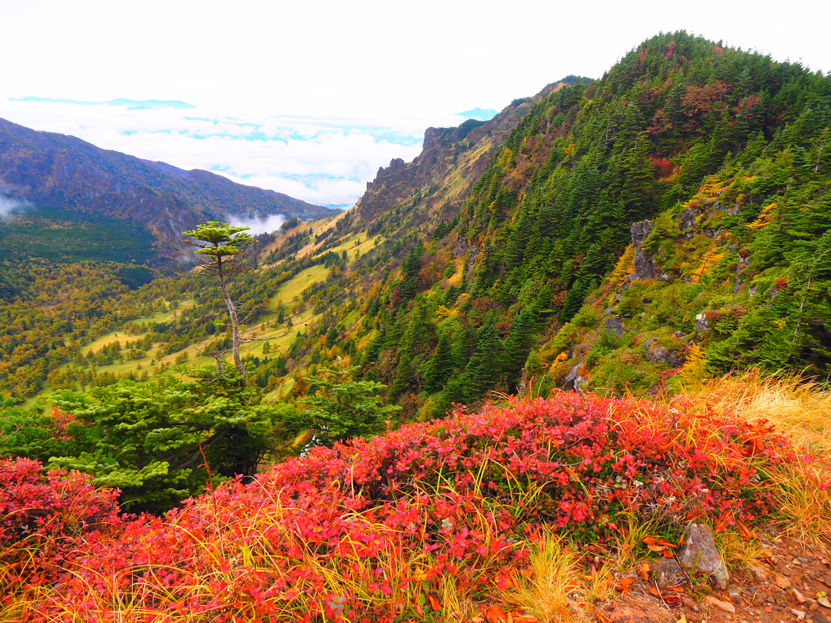 投稿写真：錦秋の黒斑山
