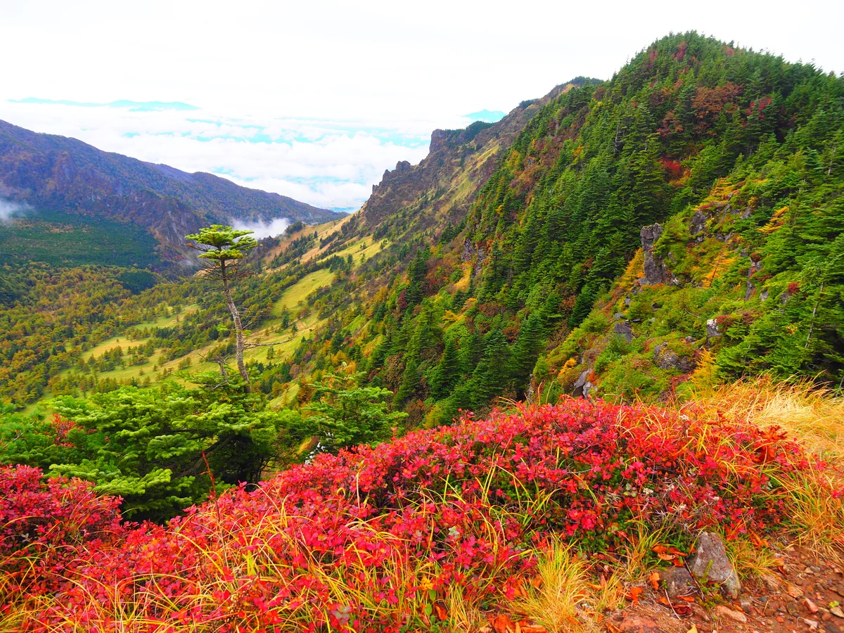 投稿写真：錦秋の黒斑山