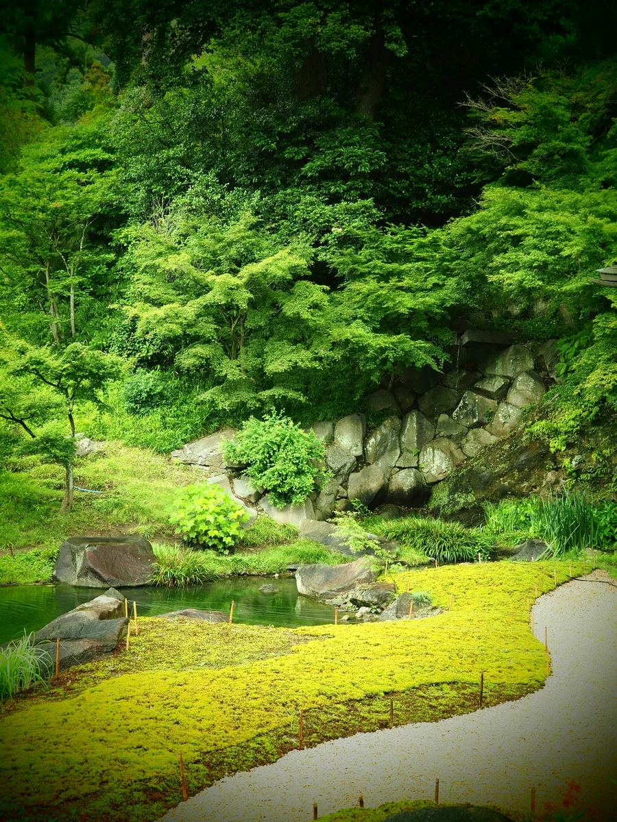 投稿写真：円覚寺庭園