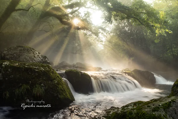 投稿：菊池渓谷の夏の絶景