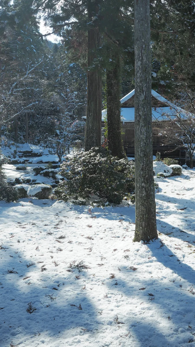投稿写真：大原三千院　雪の庭園