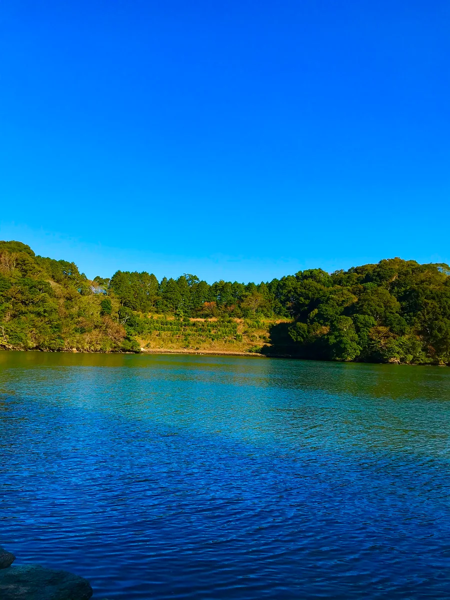 投稿写真：今にも白鳥が出てきそう