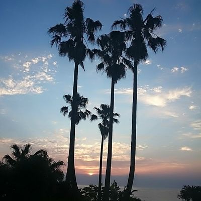  | 絶景事典