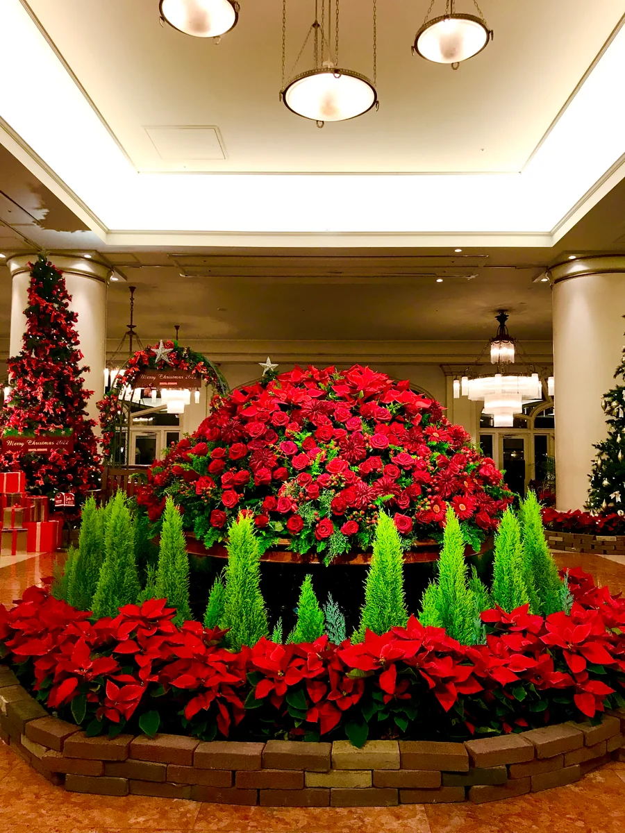 投稿写真：ホテルヨーロッパⅡ