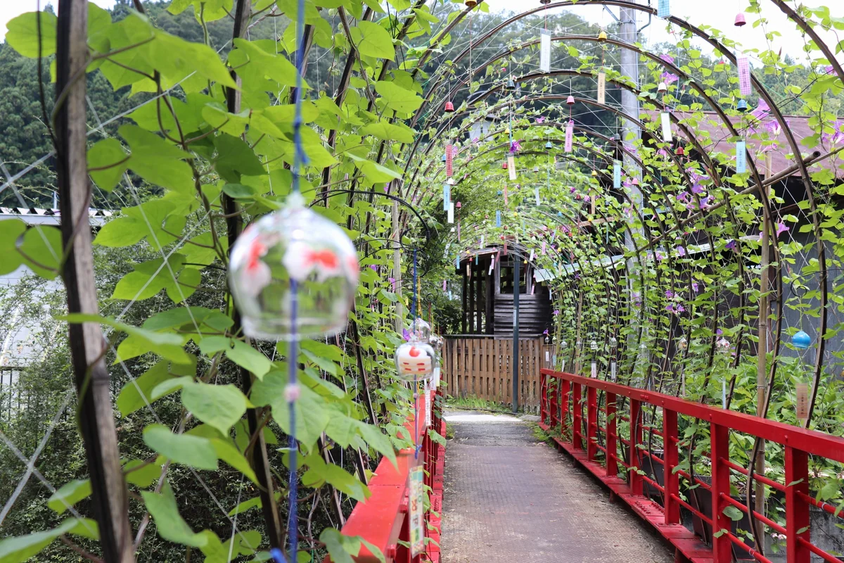 投稿写真：小渡夢かけ風鈴まつり