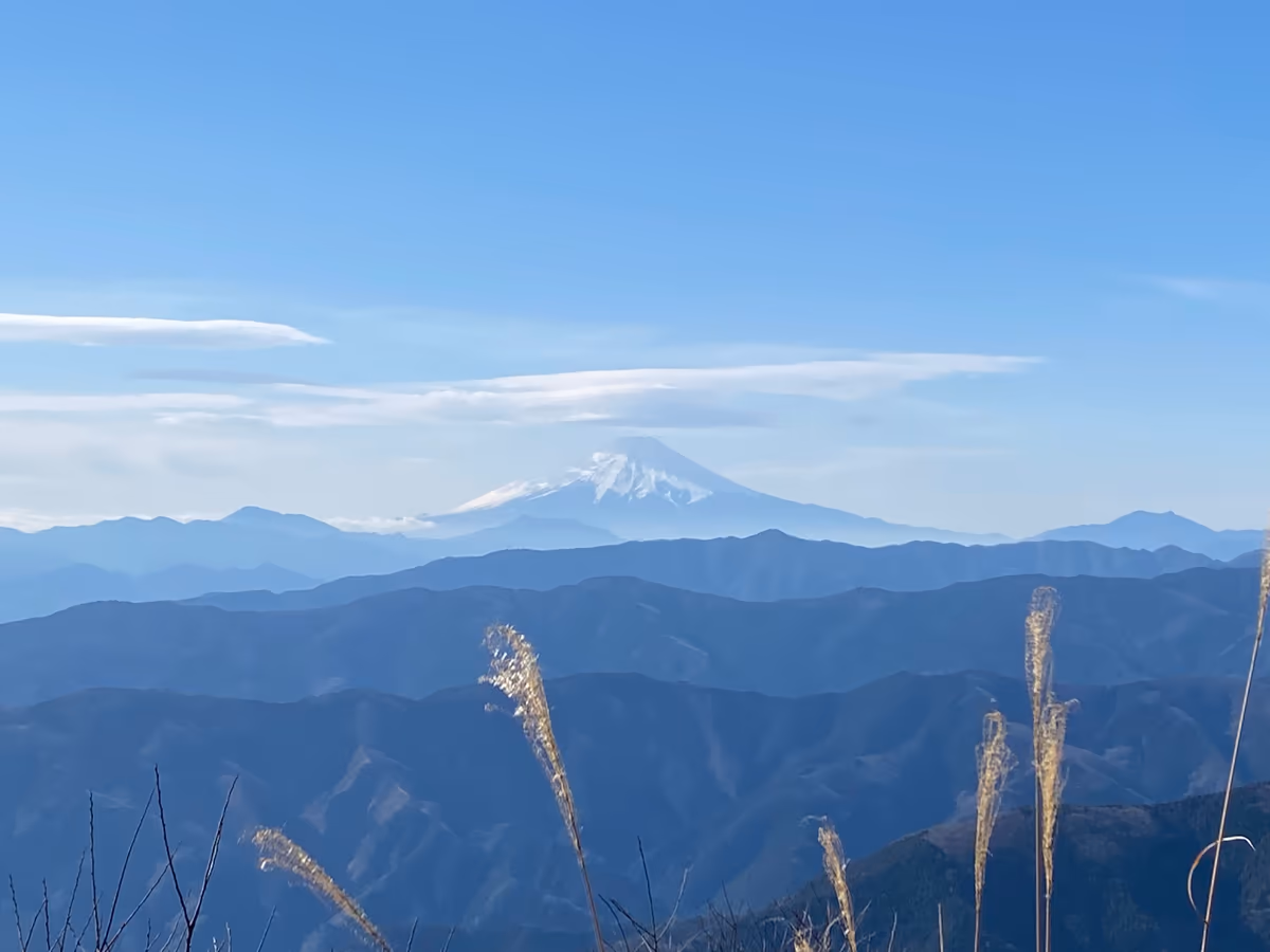 投稿写真：大岳山からの富士山