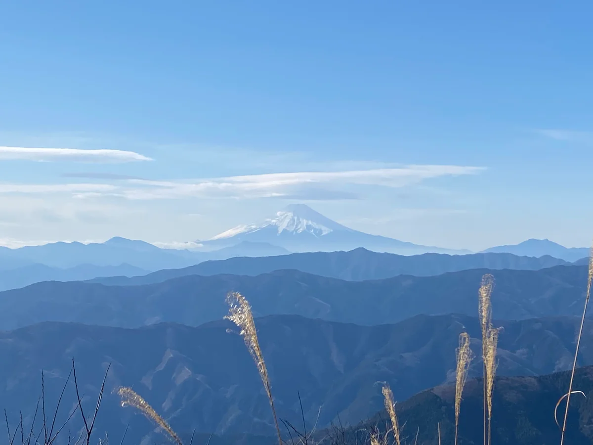 投稿写真：大岳山からの富士山