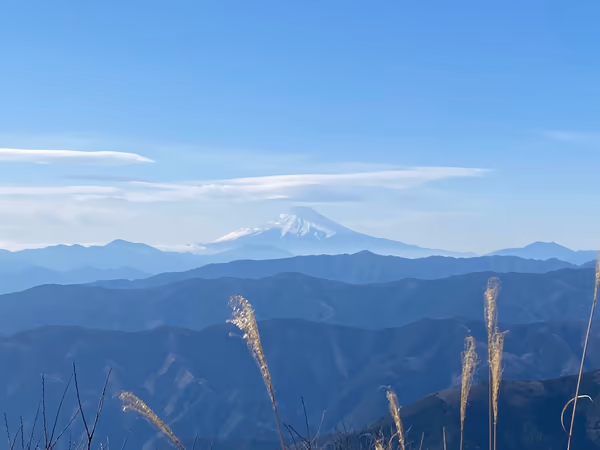 投稿：大岳山からの富士山