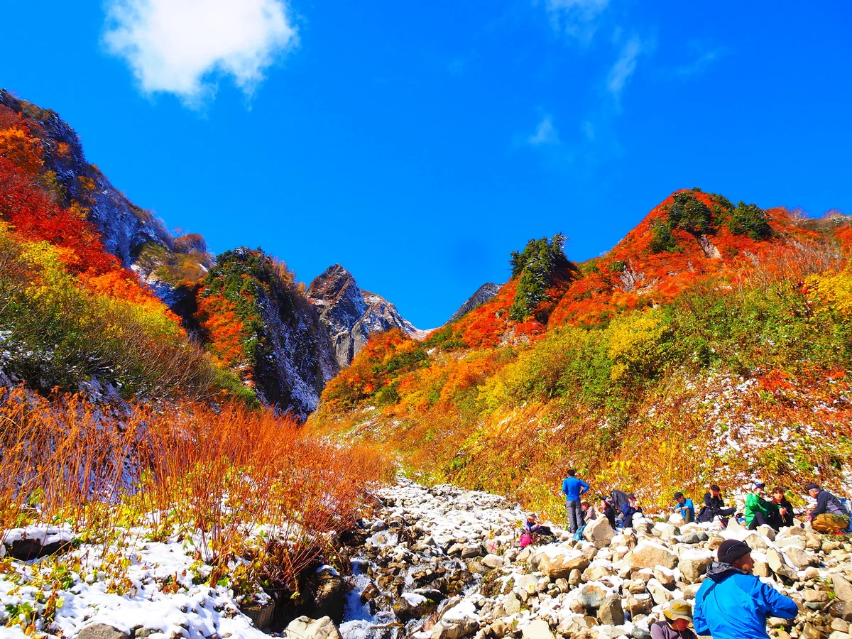 投稿写真：錦繍の荒菅沢（雨飾山）