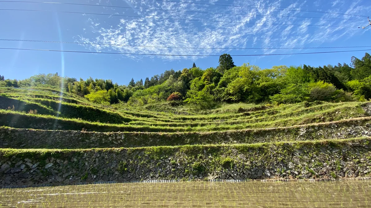 投稿写真：井仁の棚田