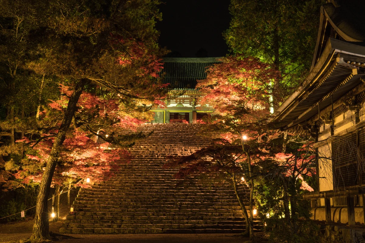 投稿写真：神護寺　ライトアップ