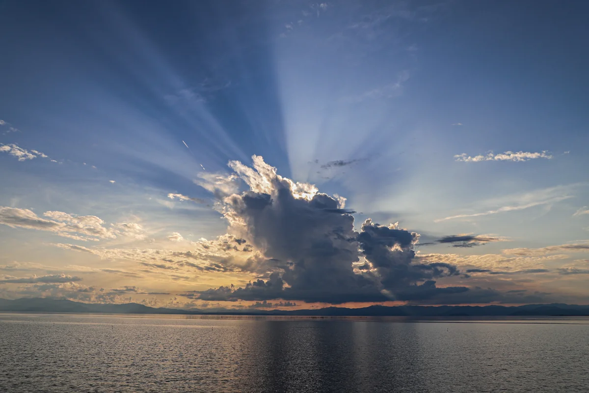 投稿写真：逆光芒