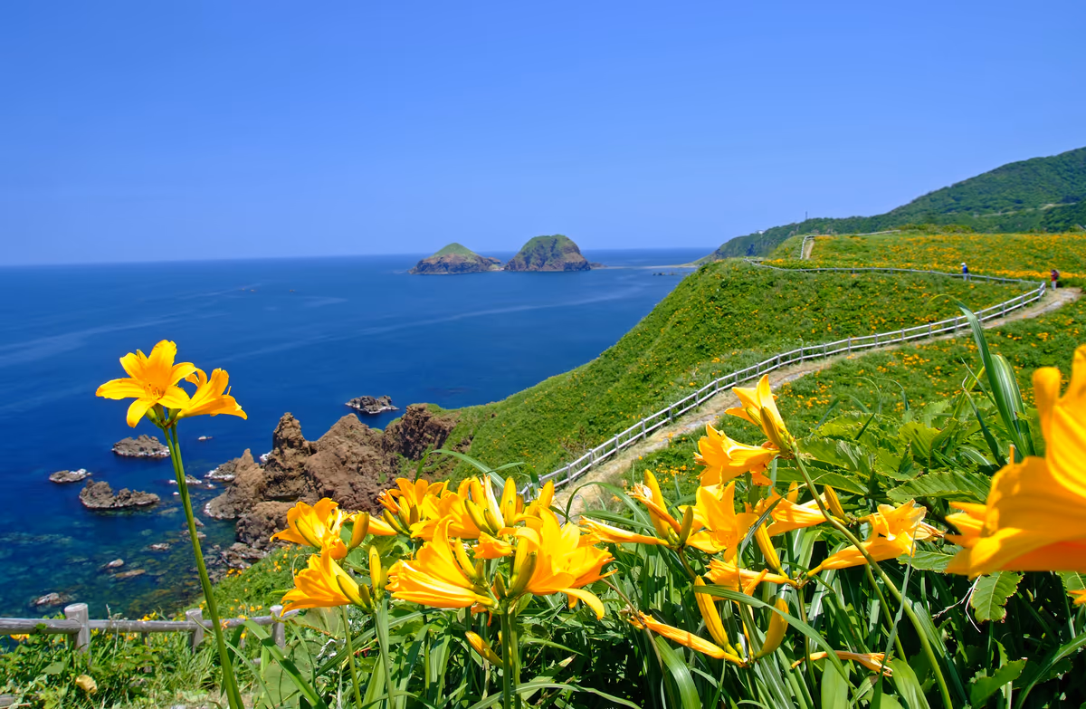 投稿写真：大野亀の海と花