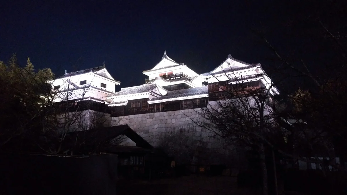 投稿写真：松山城ライトアップ