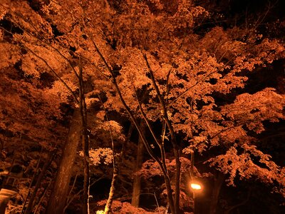  | 絶景事典
