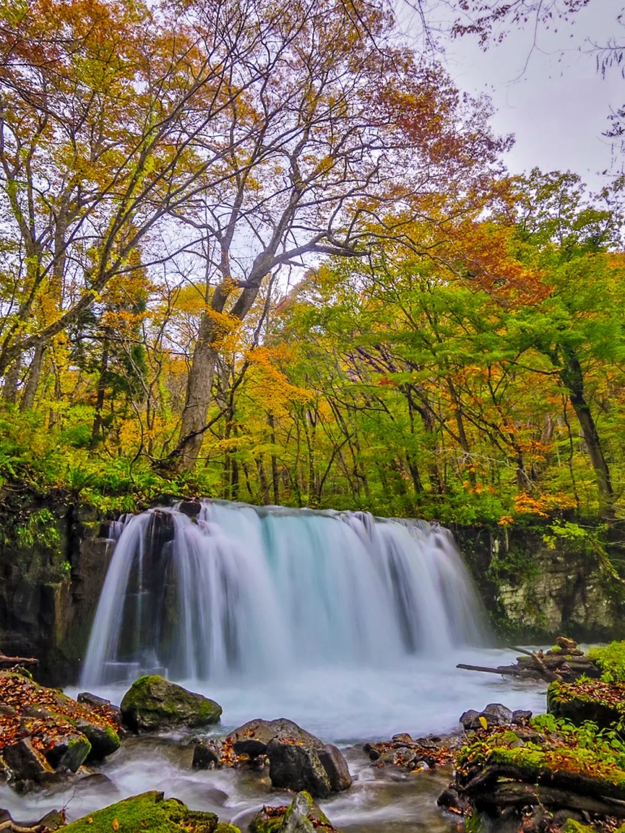 投稿写真：紅葉の銚子大滝