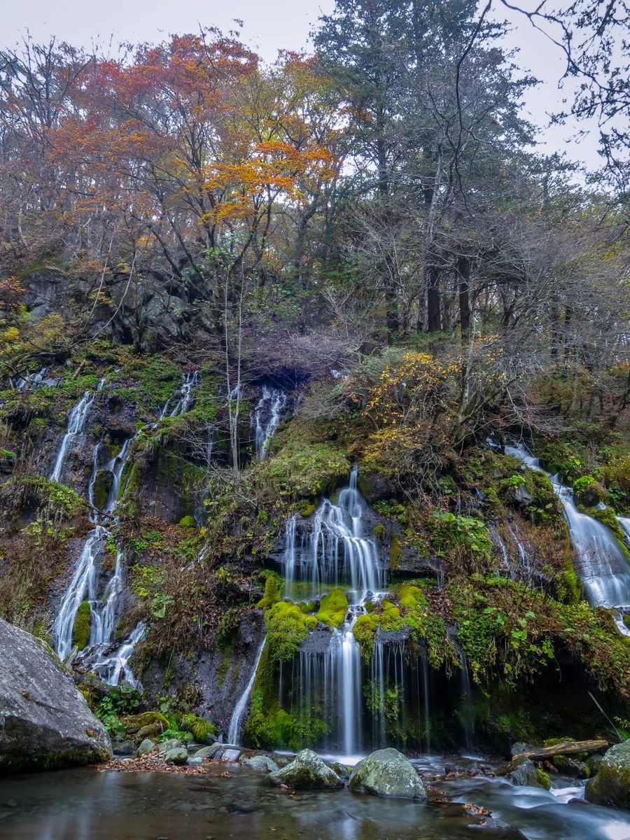 投稿写真：吐竜の滝と紅葉