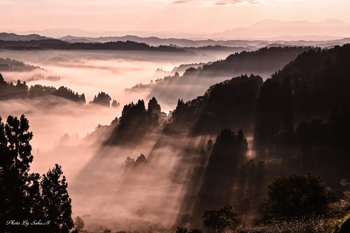 投稿写真：斜光