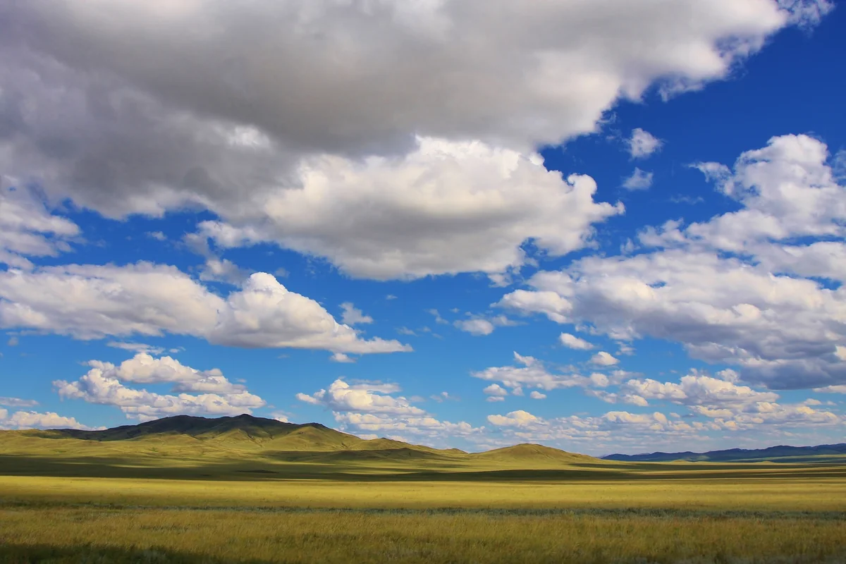 投稿写真：モンゴル大草原